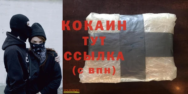 амф Верея