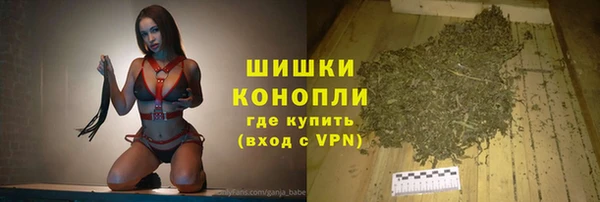 амф Верея