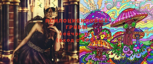 трава Вязьма