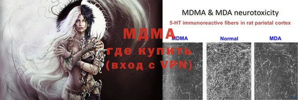 амф Верея