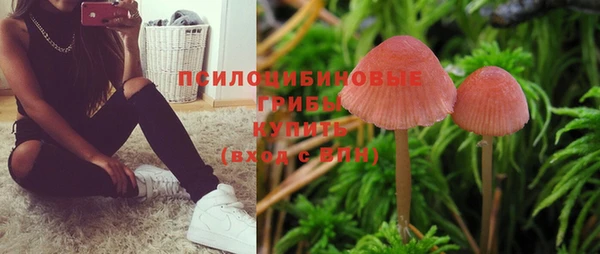 мескалин Богородск